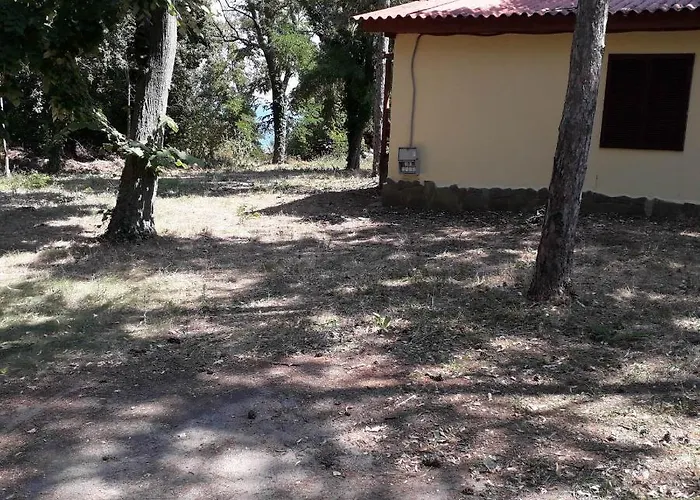 Kamp alanı енерджи Varna