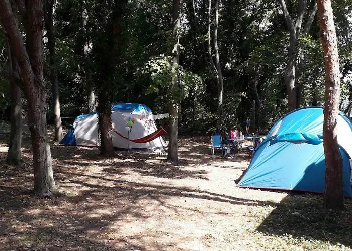 енерджи 瓦爾納